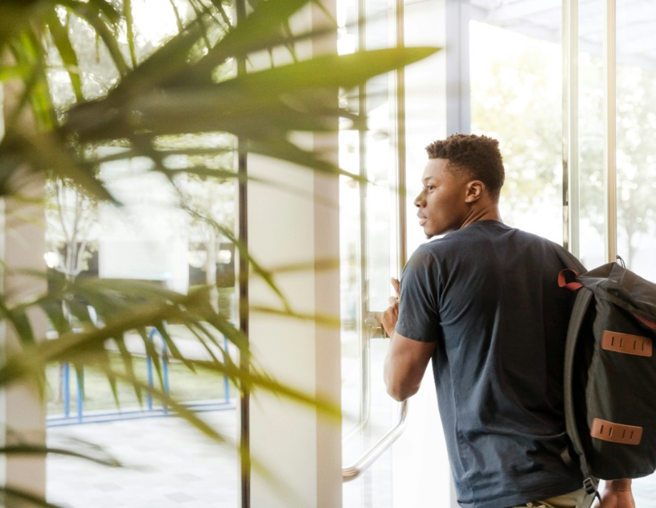 Features of the Bitcoin Education Programme